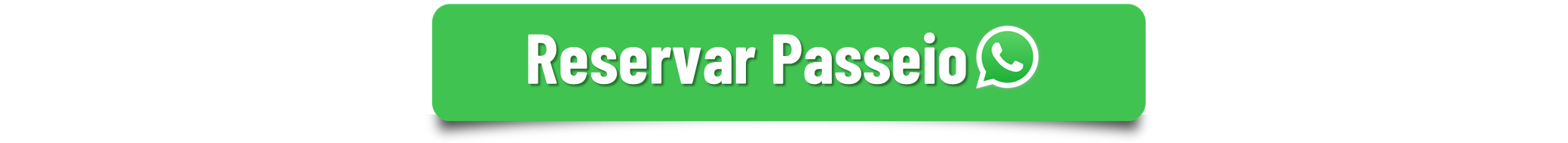 Passeios Fernando de Noronha - Desbravar Noronha (7).png